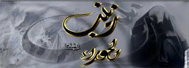 ( وتبقى زينب... )

زينب نبراس الحق وآفاقه ..
خطبت خطبة ..
أيقظت ضمائر ... أيقظت أمة ..
اخرس يزيد ... وخلدت زينب ..