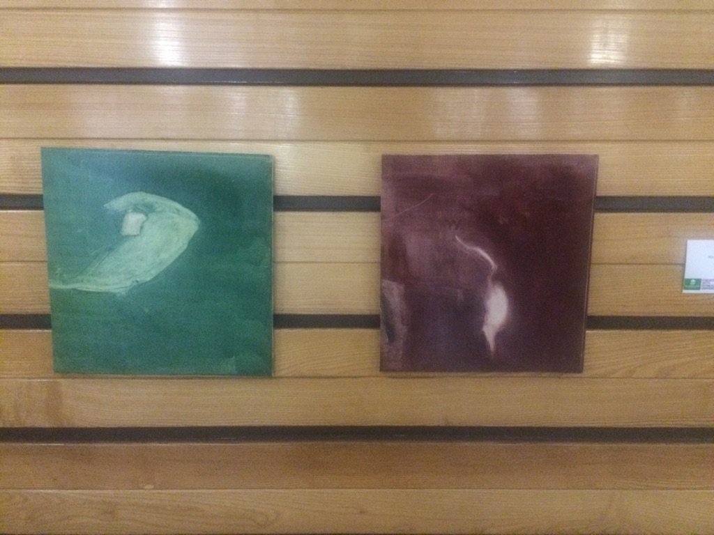 At #Plymouth Council House Art Gallery meet exhibitor Luke Walder today at 2 lukewalder.co.uk