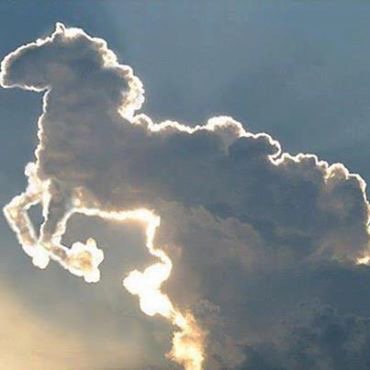 Demo88Demo's tweet image. 一生に一度見るか見ないか？
どうですか？