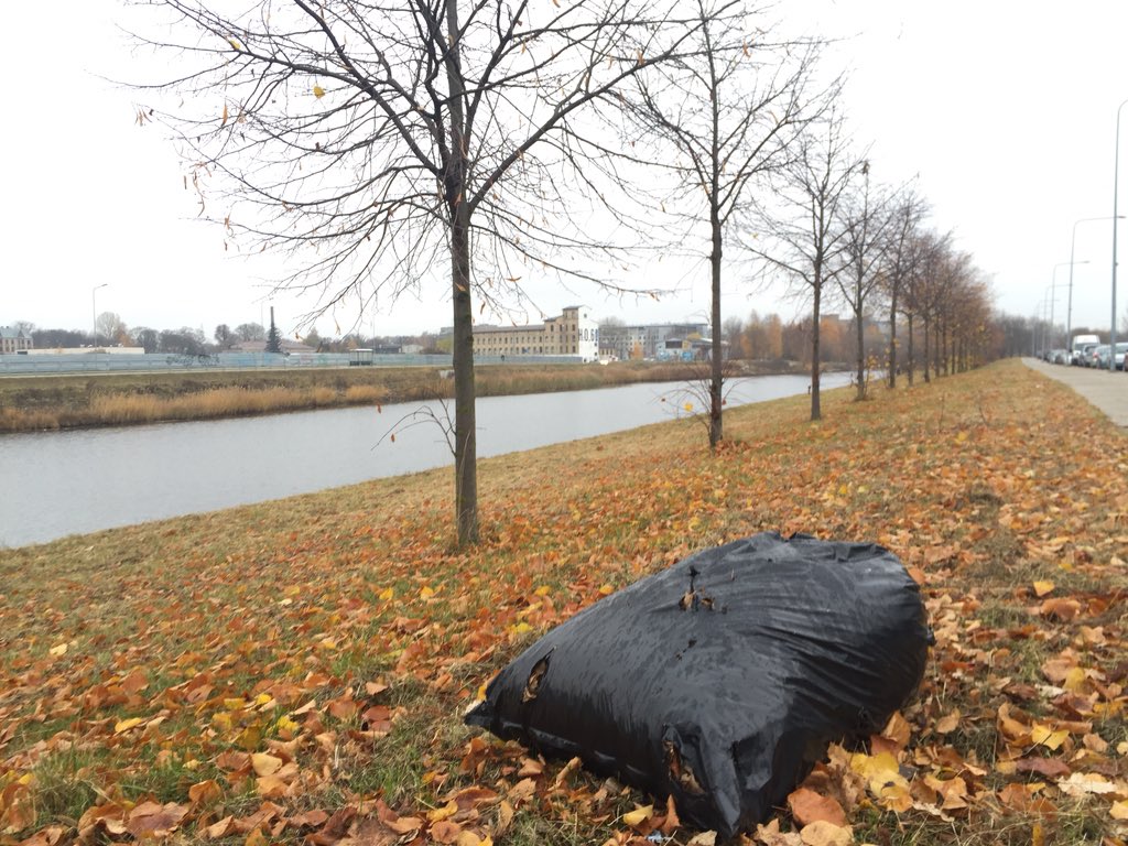 Māris Olte tweet media