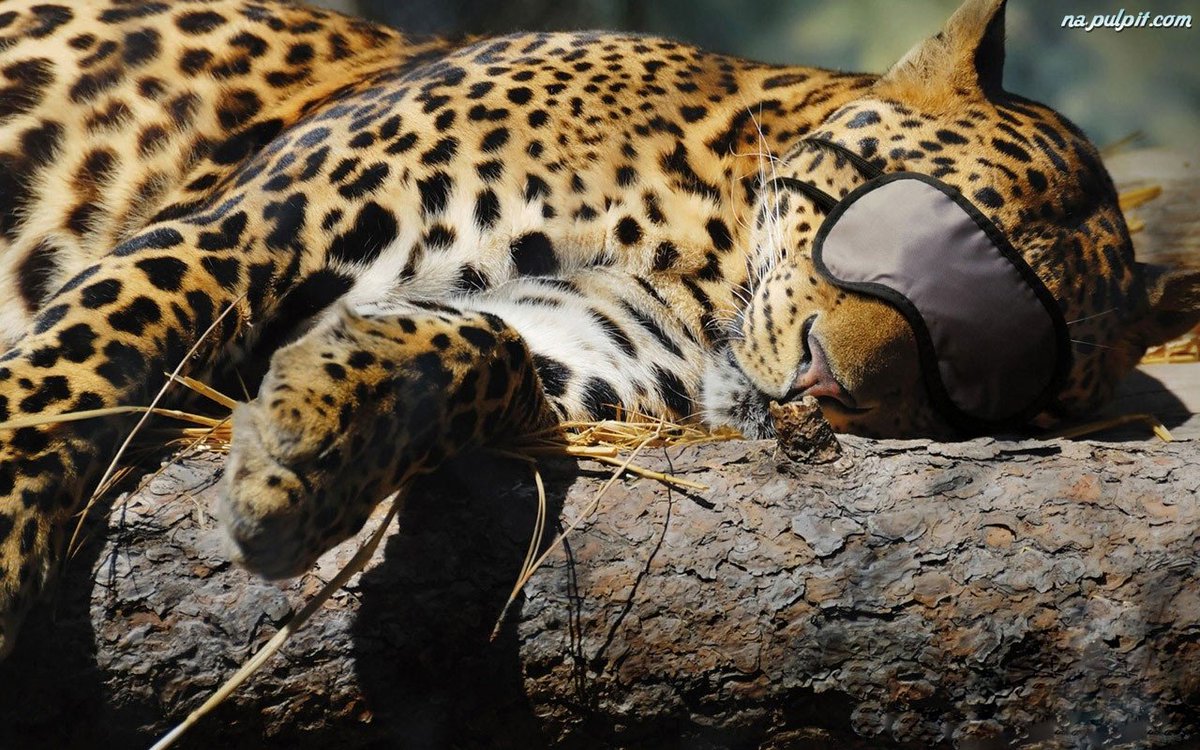 <a href="/MATIASM97027089/">MATIAS MARTINEZ</a> <a href="/MarionSpekker/">Marion Spekker</a> Good morning,