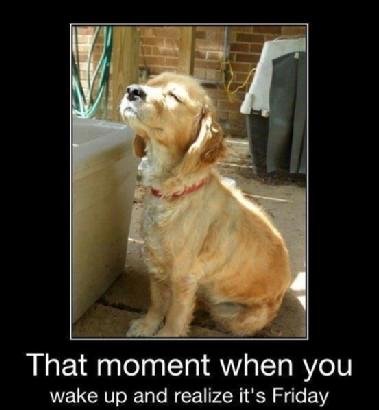 Thomas James Fencing tweet media