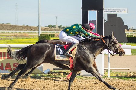 black_type_mag's tweet photo. #Muwala,#CiudadanoKane,#HailPromenader y #Dubrovnik, resto de ganadores de 5ª jornada en @TheJockeySHR Fotos:I.Piñar https://t.co/wzOiXNfKuk