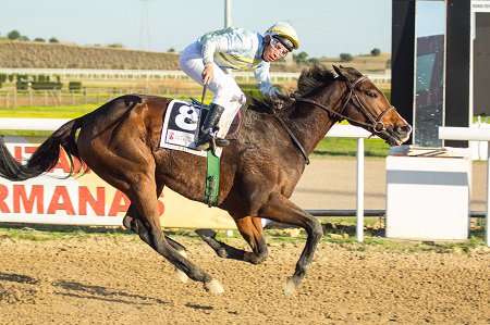 black_type_mag's tweet photo. #Muwala,#CiudadanoKane,#HailPromenader y #Dubrovnik, resto de ganadores de 5ª jornada en @TheJockeySHR Fotos:I.Piñar https://t.co/wzOiXNfKuk