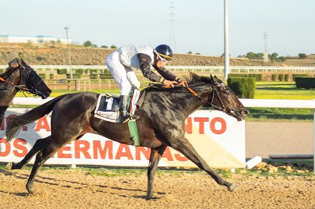 black_type_mag's tweet photo. #Muwala,#CiudadanoKane,#HailPromenader y #Dubrovnik, resto de ganadores de 5ª jornada en @TheJockeySHR Fotos:I.Piñar https://t.co/wzOiXNfKuk