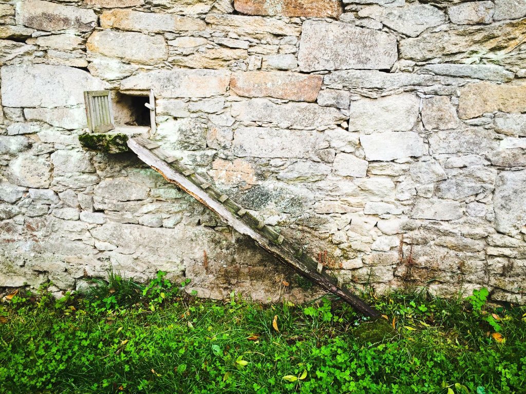 Galiñeiro &lt;3 
#detallesqueenamoran #Arqueixal #ulloaparaiso