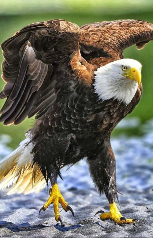 solidakis13's tweet image. 