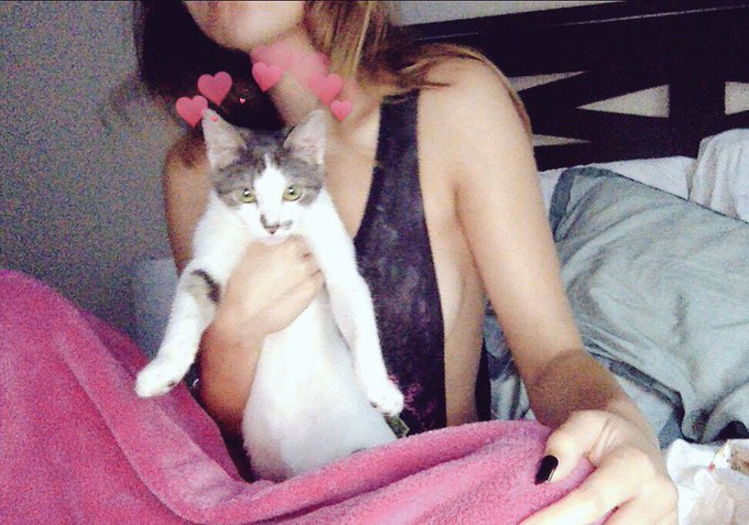 Named my princess, Doja after one of my favorite artists @DojaCat 💕✨🐈 https://t.co/U3PMGL19Qq<a href="/tag/pax"class="tags"><span>#pax</span></a>