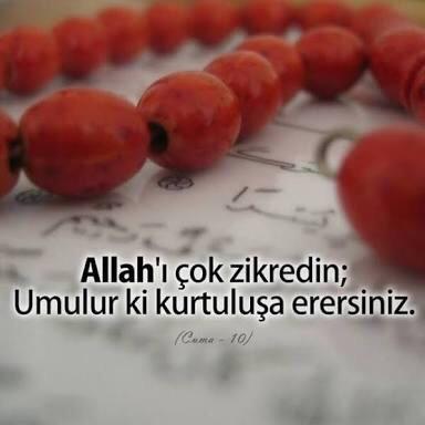---
---
WhatsApp tarafından gönderildi