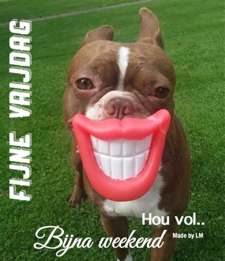 #weekend is coming..!  #Vrijdagmiddagborrel en vanavond een optreden van The Sweet Whites #komook