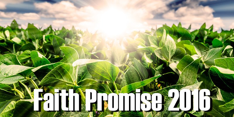 First Church tweet media