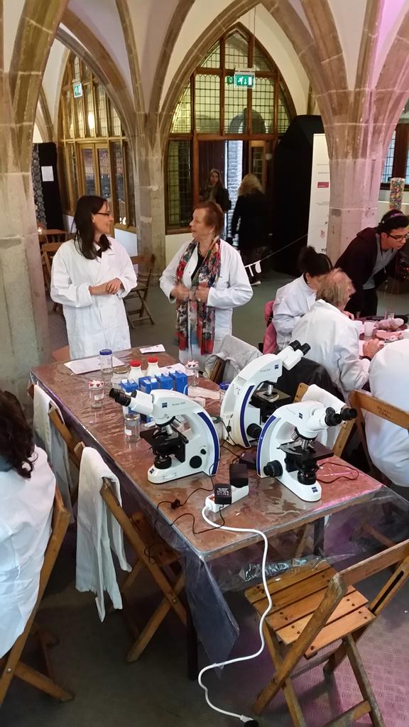 msmjetten's tweet image. #Microbiology workshop at #Inscience festival ru.nl/microbiology