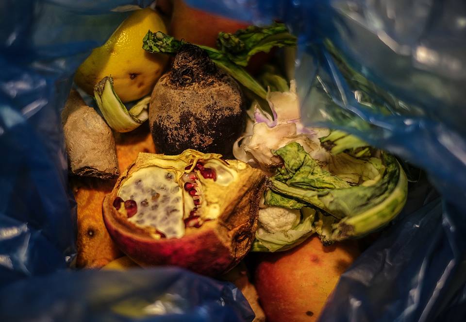 VIZKULTURA tweet media