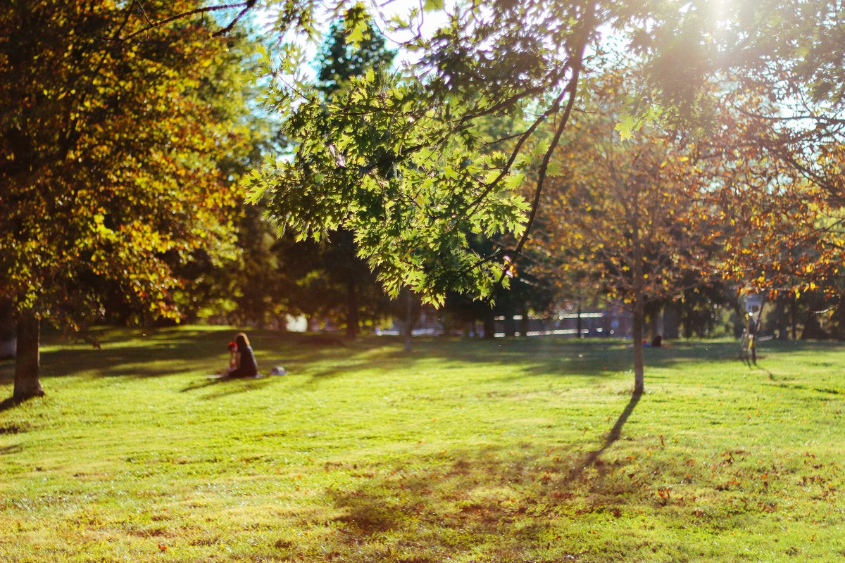 breakingldnnews's tweet image. Need some #GivingTuesday inspiration? Here's a handy list of #GivingTips: storify.com/givingtuesdayu…   ttp://twtd.by/giv