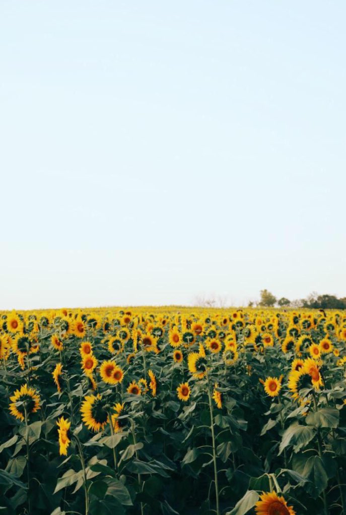 travel the world with me?