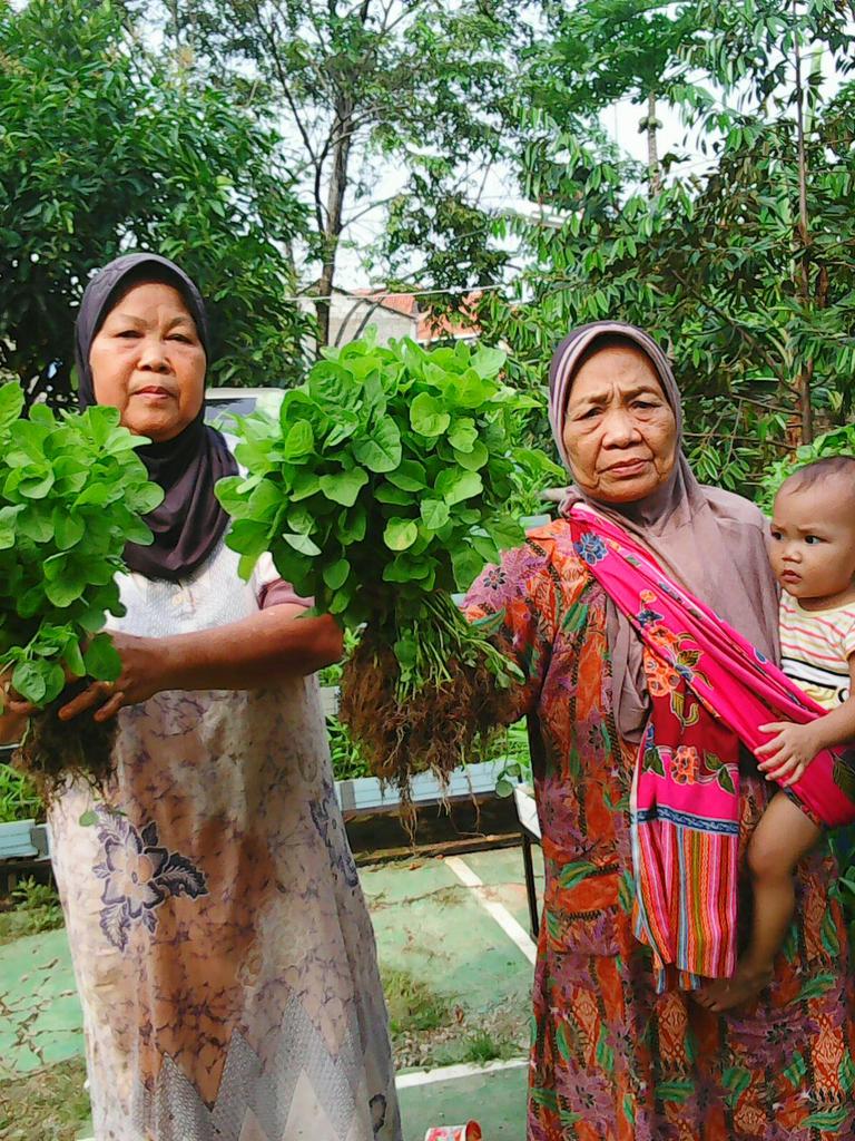 bip_ipb's tweet photo. Seneng deh bisa nanem dan panen bayam sama ibu-ibu kwt Anggrek @Bemkmipb_Hijau @bemkmipb https://t.co/58Wrsipb9j