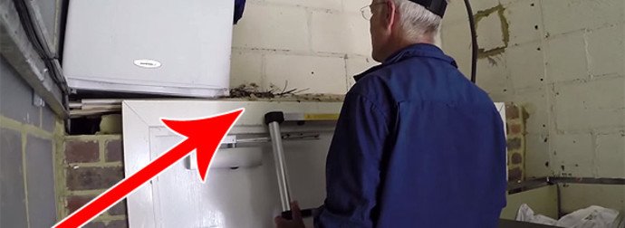 muhepiqedoco's tweet photo. These Trespassing Baby Pigeons Would Have Died If It Weren't For These Kind Souls
https://t.co/hYWZmdwDVc https://t.co/9oFdGJBzMz