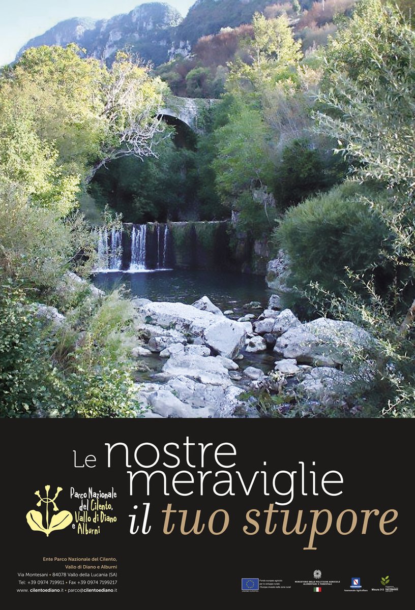 Parco Cilento tweet media