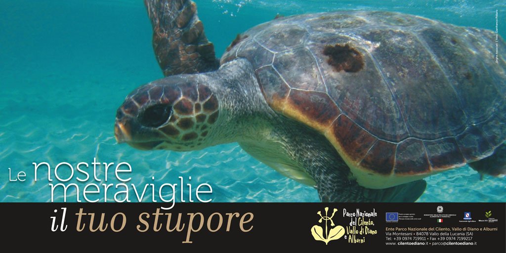 Parco Cilento tweet media