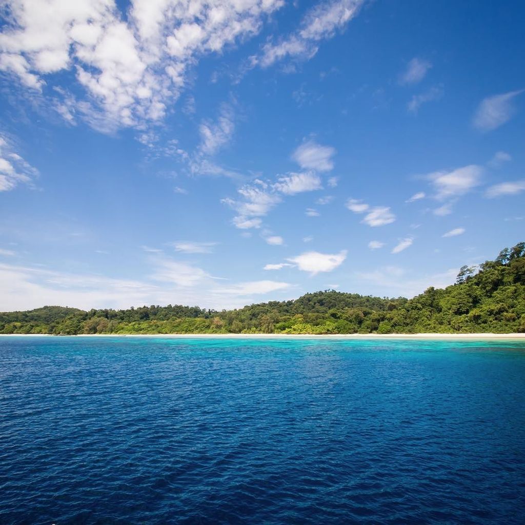 ParadiseCoveStt's tweet photo. scubafish_ shares: Wow! Gorgeous day at #kohrok perfect for #scuba & #snorkeling #scubalife #lifesabeach #amazingth… https://t.co/VhAbKBJVKD