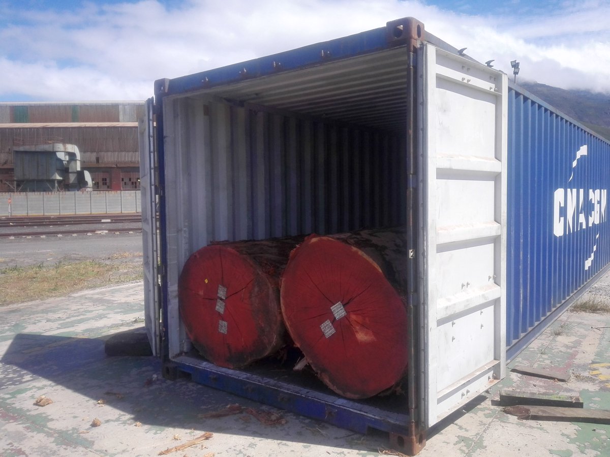 One of many containers loaded and shipped to India.
Want to now more? Visit our website universaltimber.co.za