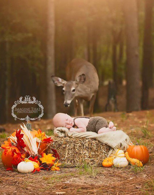 GoCritter's tweet image. Oh deer! Furry visitor photobombs baby picture, with magical results today.com/parents/oh-dee… photo via Megan Rion