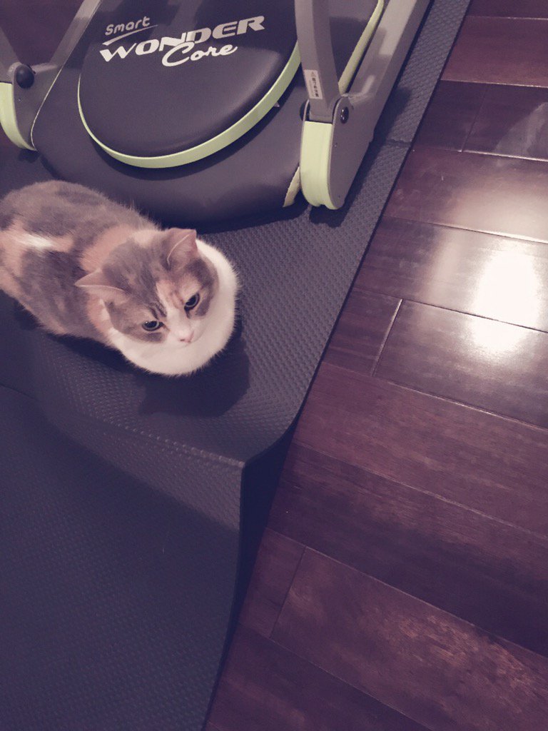 埋め込み画像への固定リンク