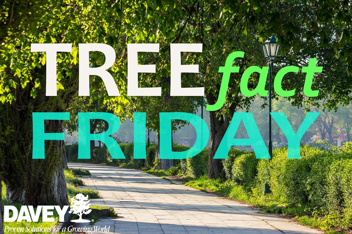 Every $1 spent to plant and care for urban #trees yields benefits that are 2-to-5X that investment. #TreeFactFriday