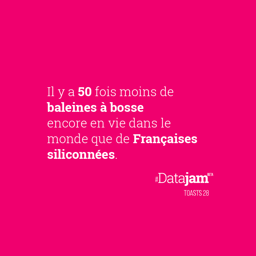 datajaming's tweet photo. Il y a 50 fois moins de #baleines à bosse encore en #vie sur de terre que de Françaises siliconnées. #datajam #boobs https://t.co/TFpsyq0VHx