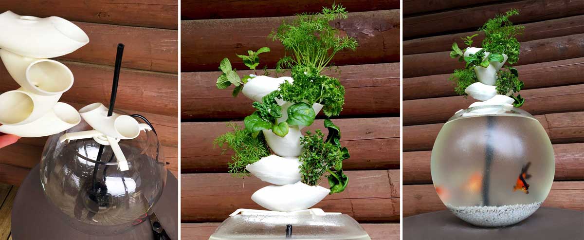3dprintindustry's tweet photo. Growing plants, feeding fish with #3dprinting https://t.co/vBV3O56tFJ  via @3dprintindustry by @RGFitness https://t.co/B5oScKzekf