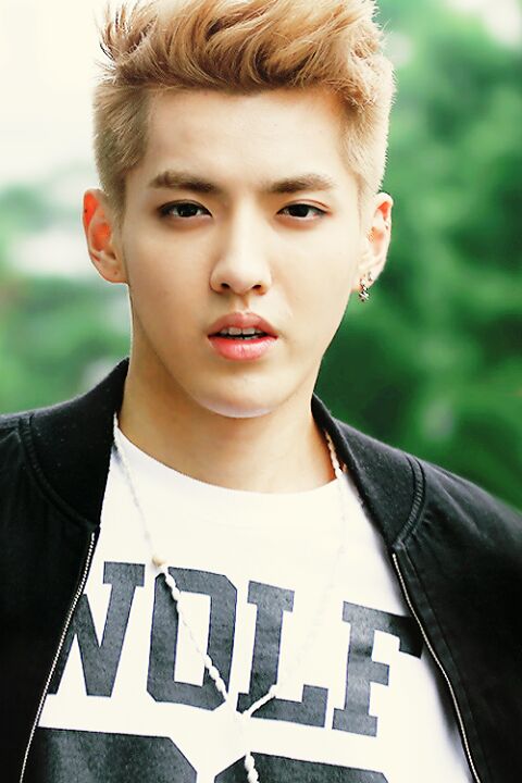 HAPPY BIRTHDAY TO KRIS WU!
Stay healthy and may God guide you and your family.
Saranghae! 