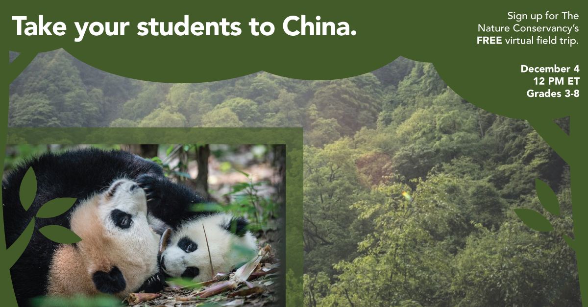 WeAreTeachers's tweet photo. Make #classroom learning fun, #teachers! Sign up for a virtual field trip to China! https://t.co/GY6wyJnPt4 https://t.co/TuK9SDwy1e