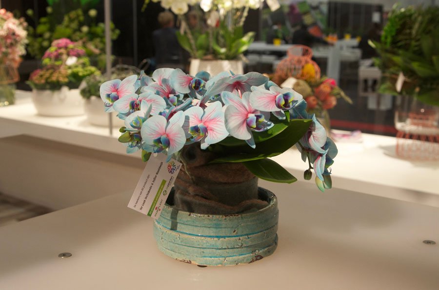Prachtige producten gezien op de @FHTradeFair Bekijk onze inspiratiefoto's   p3e.nl/_6QG