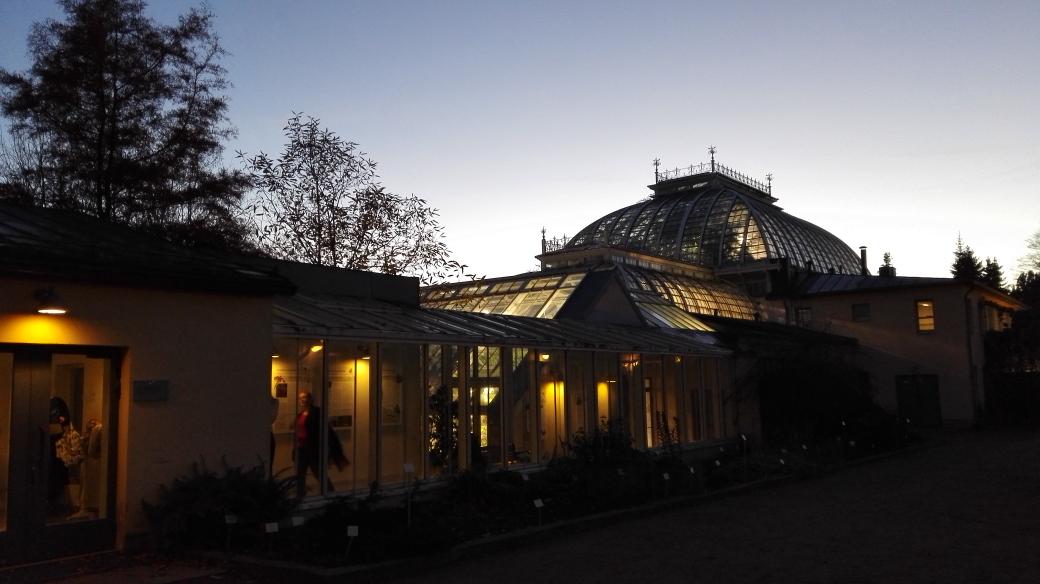 Enjoying some much-needed greenery at the #kaisaniemi #botanicgarden, open until the end of the year! #luomus