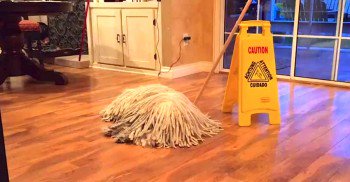 FMoakson's tweet image. I Thought It Was A Normal Mop, But Seconds Later, I Can’t Stop Laughing
twnewsjp.com/page.php?id=701