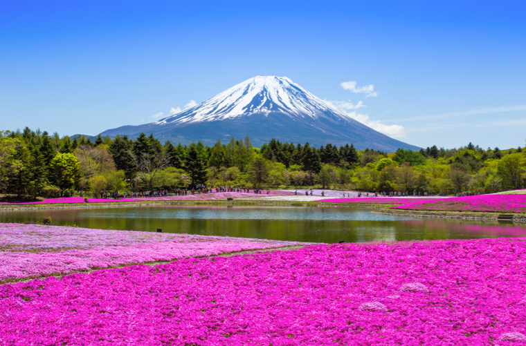 Evasion_tv's tweet photo. Nous avons décidé de mettre un peu de rose dans votre journée! Ce paysage est magnifique, non? :) https://t.co/mH78rp6iBK