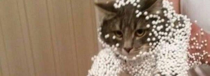 MwanawaCello's tweet photo. 24 Cats That Failed So Hilariously Hard, They Almost Won (Almost)
https://t.co/XfvTyLOp5R https://t.co/6on5FtLc4g
