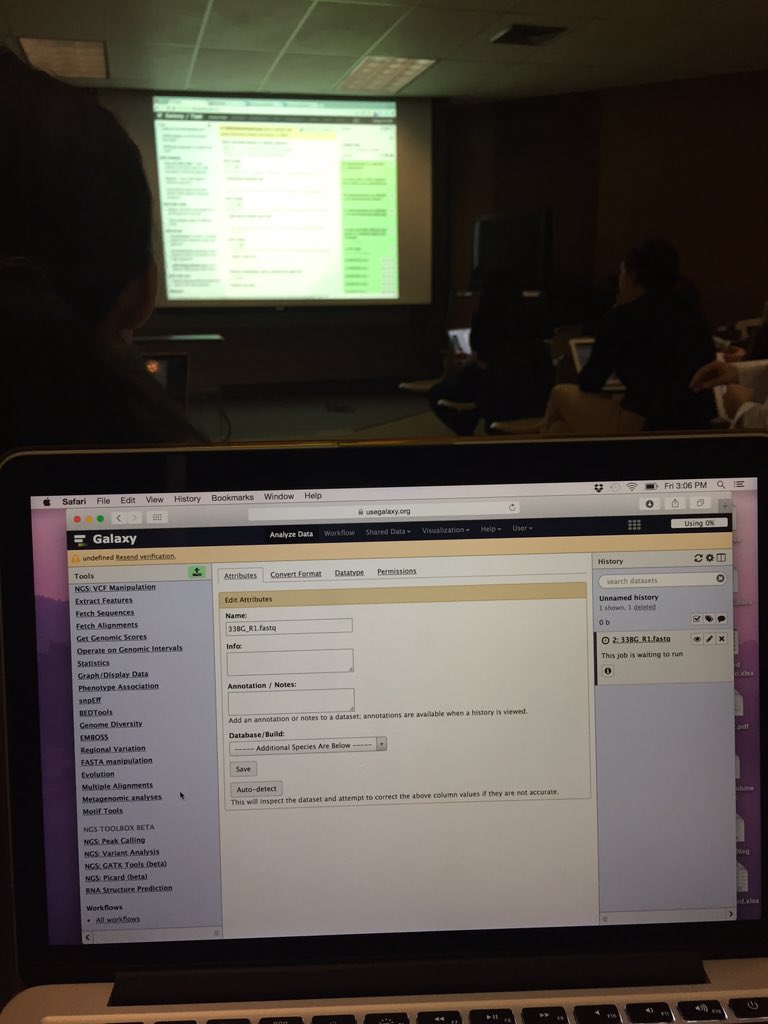 RGLoreto's tweet image. Workshopping to improve my #bioinformatics skills. #galaxyproject