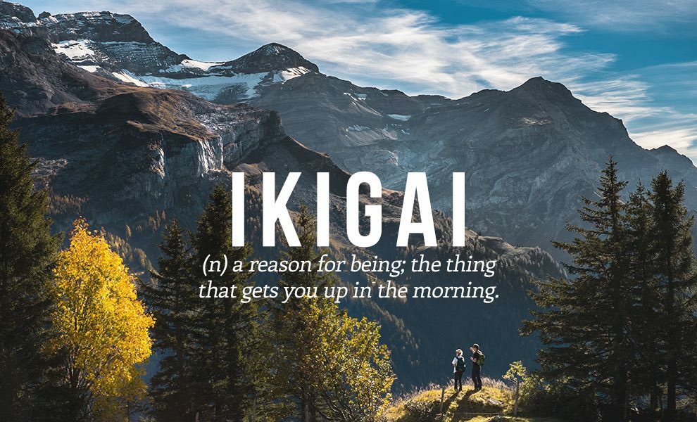 FrostlynneLynn's tweet photo. “@CristaHazell: What's your ikigai? From @italki @MartynReah @pennyprileszky https://t.co/Y2TmFFE0fN”