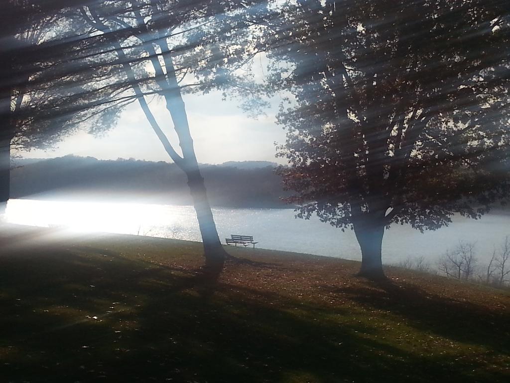 krista morris (@prittermorris76) on Twitter photo 