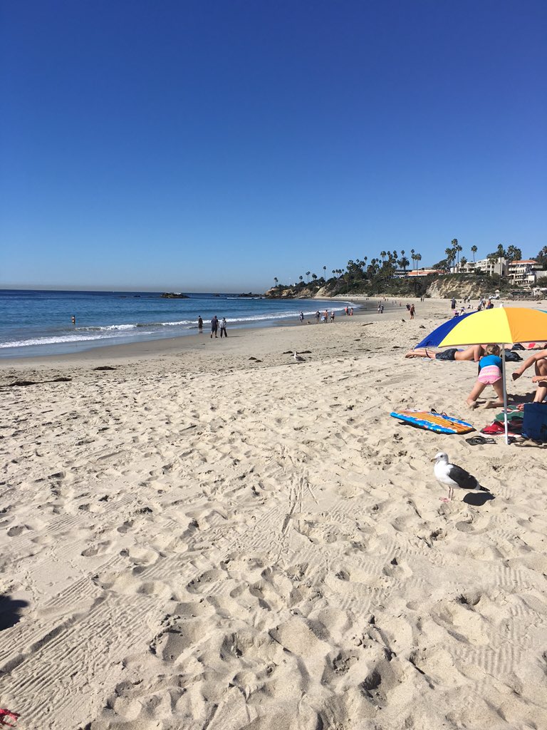 Sorry you guys can't be here today. <a href="/userscape/">UserScape Inc</a>