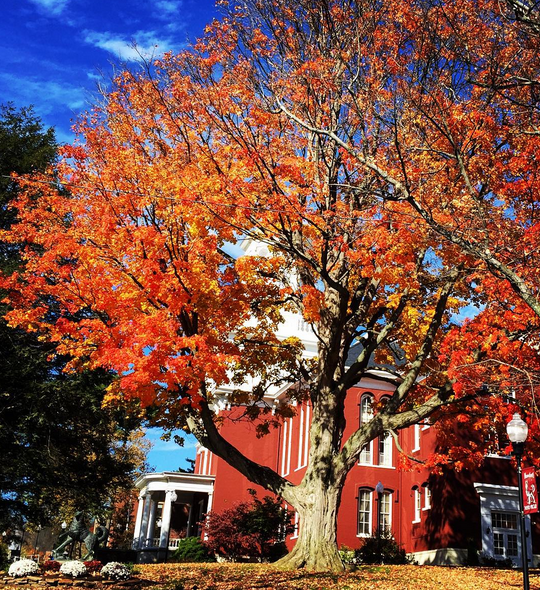 BloomsburgU's tweet photo. #ICYMI: Our most popular @Instagram ever was posted earlier this week: https://t.co/q6xheWhpYB 😍 #AGreatPlaceToBeYou https://t.co/GHYlj6YLXN