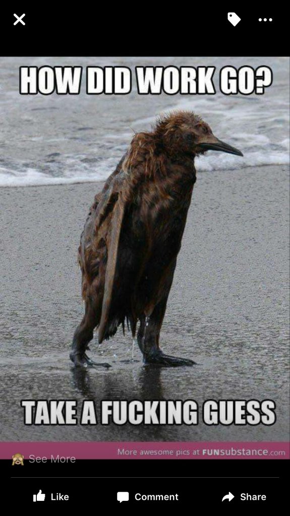 AndyBen52114503's tweet photo. Everyone can have a #badday but it's madness it think without change things will get better.#Dubai https://t.co/71KurLcmnJ