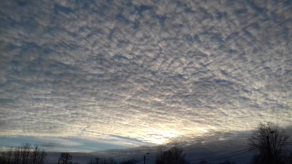 shadowfrom_Mars's tweet image. @tailoreddreamss #skyfishing
What do you think about it?☁☁