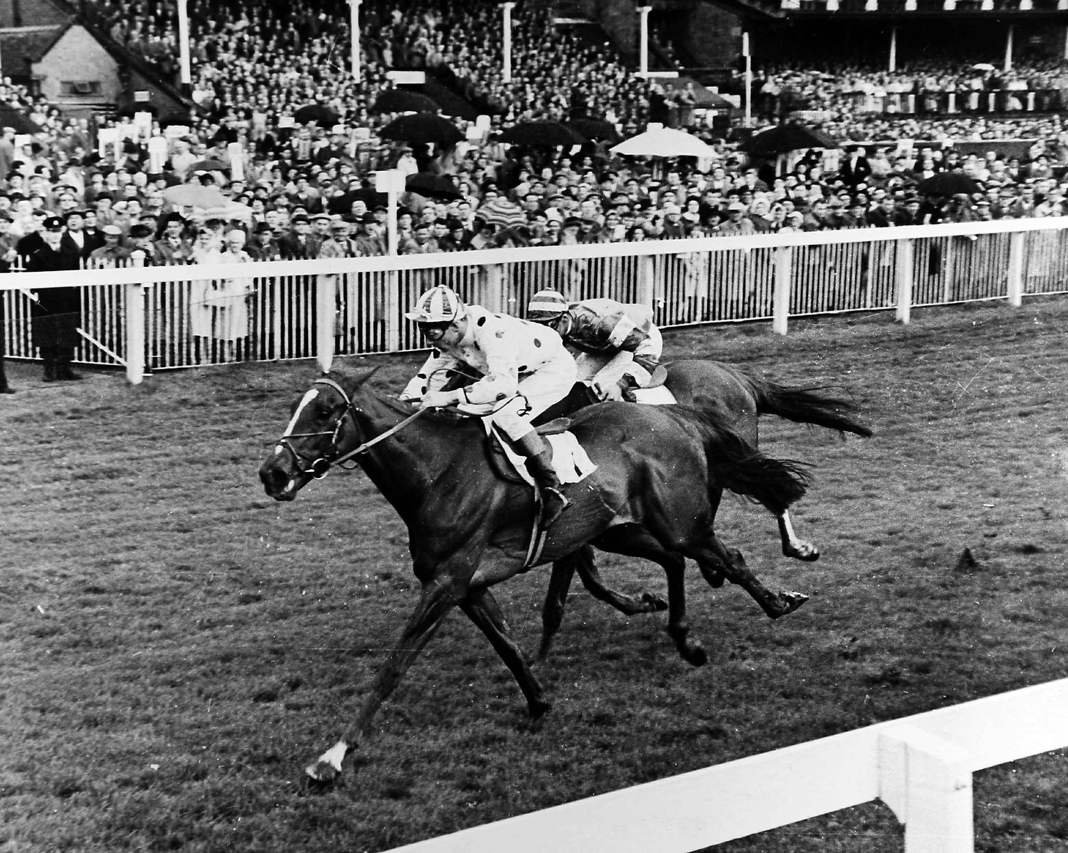Happy Birthday to Lester Piggott who turned 80 yesterday! Here he is winning in 
