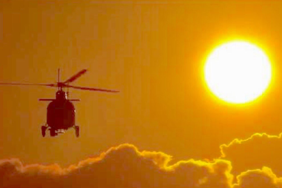 8_plamison's tweet photo. .@WFLA    Sometimes I like to have my picture taken.... Eagle 8 HD. https://t.co/BKciz7eIKh