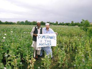 kriticalmass tweet media