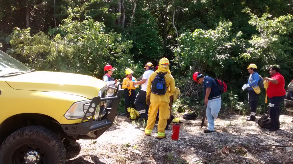 PCTulum's tweet photo. Día 3 del curso básico de combatientes @betoborge @DavidBalam @CONAFORQROO @Pronaturamexico #PrevenirEsVivir https://t.co/GYtUScHp7G