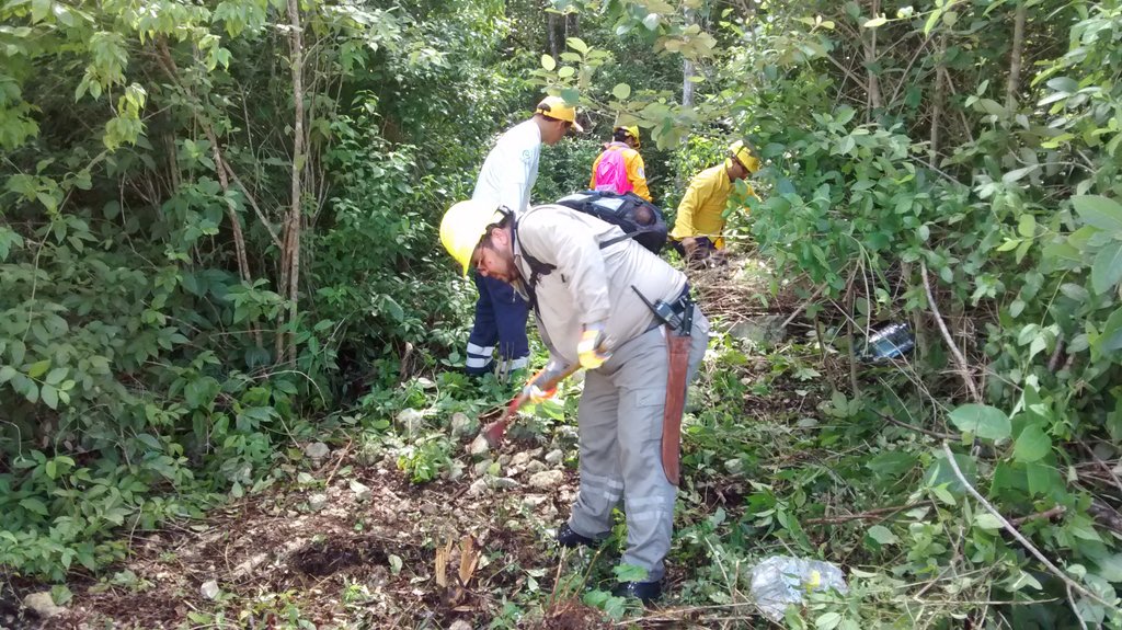 PCTulum's tweet photo. Día 3 del curso básico de combatientes @betoborge @DavidBalam @CONAFORQROO @Pronaturamexico #PrevenirEsVivir https://t.co/GYtUScHp7G