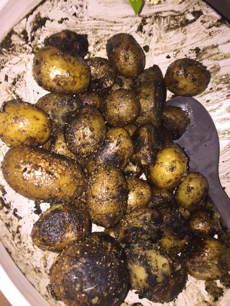 etgigantor's tweet image. Freshly dug yukons charred in a fire pit.